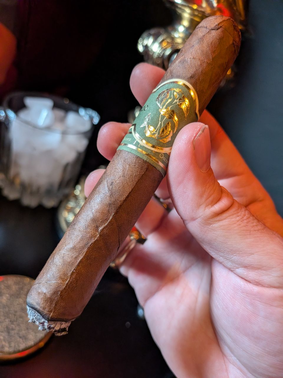 Photo of Matilde Oscura Toro Bravo