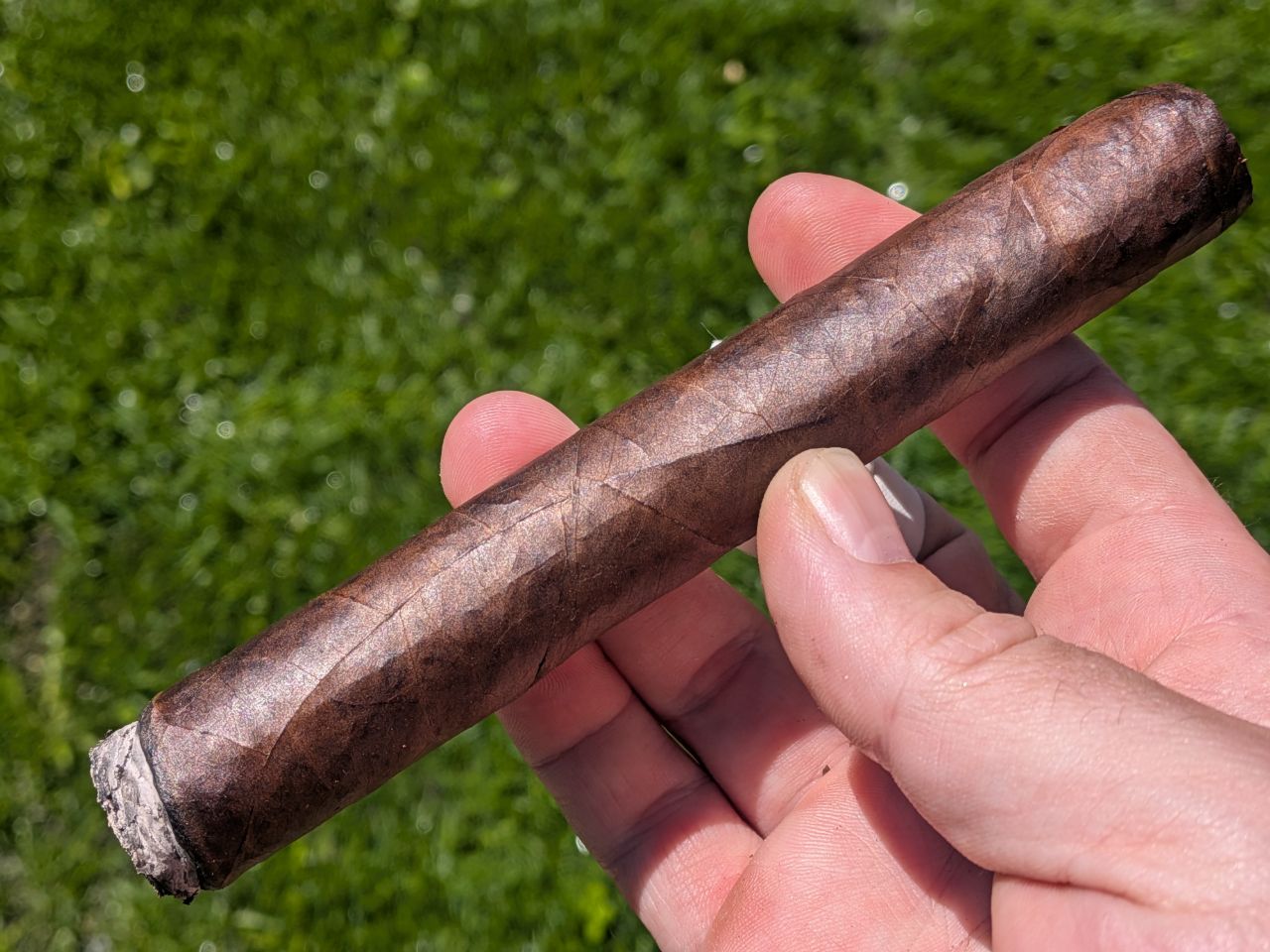 Photo of Sinistro Last Barbarian Toro