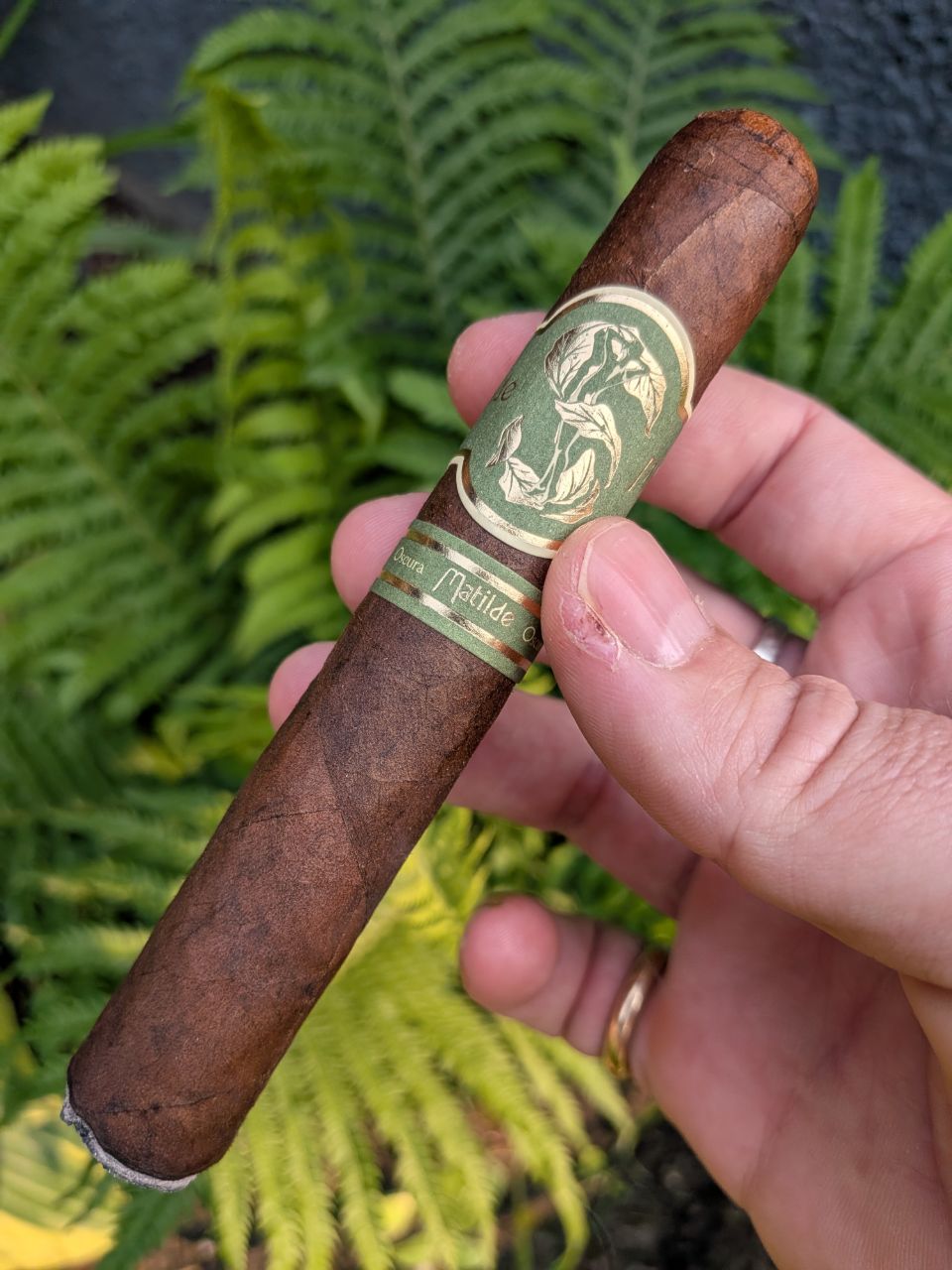 Photo of Matilde Oscura Robusto