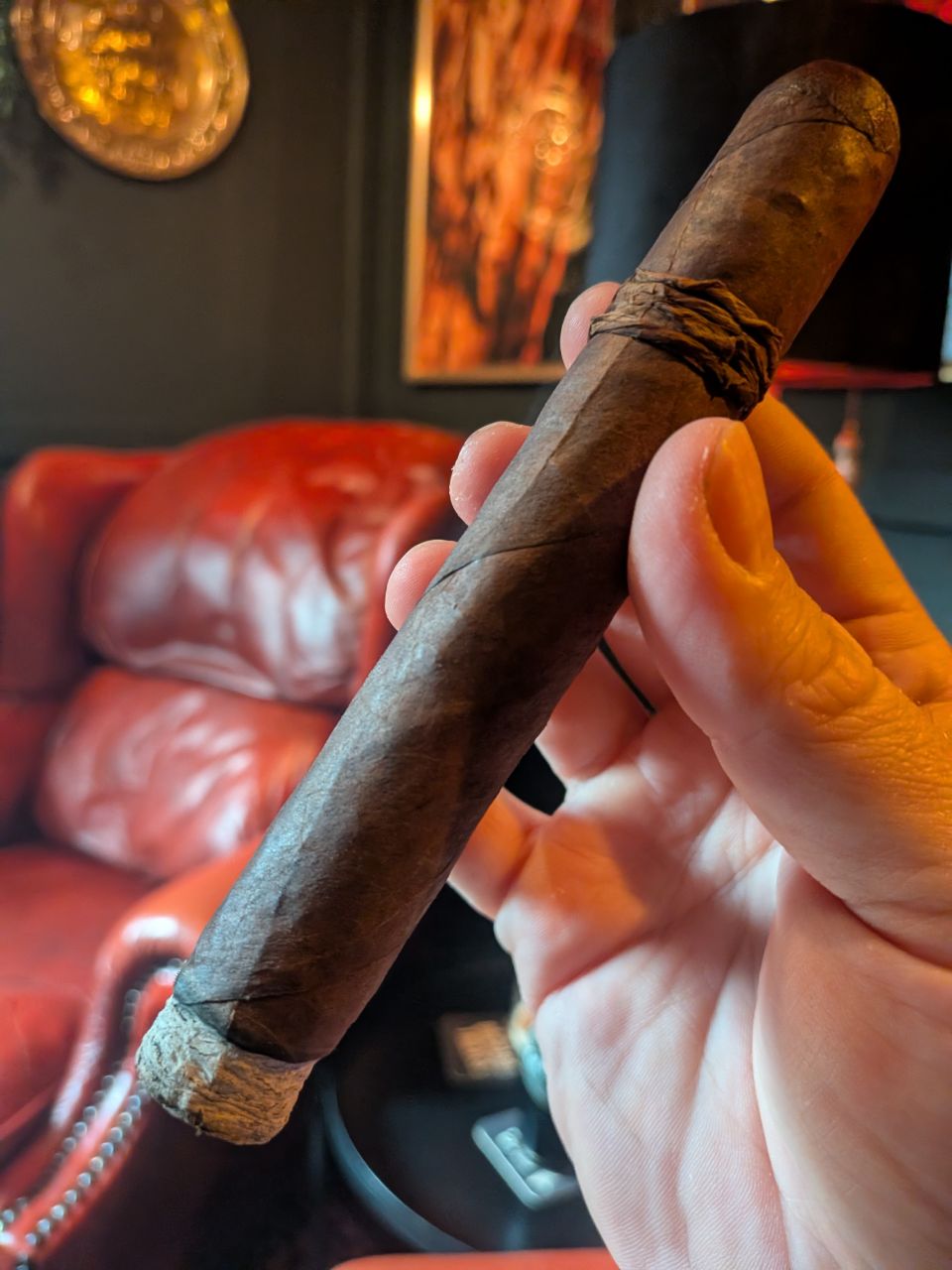 Photo of CAO Amazon Basin Toro