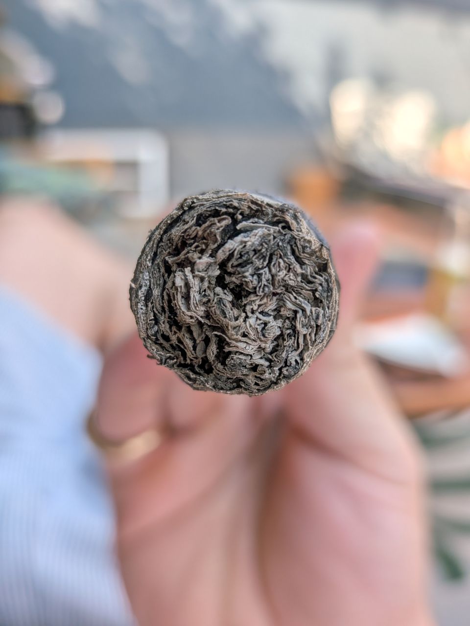 Photo of Macanudo Nicaragua Toro