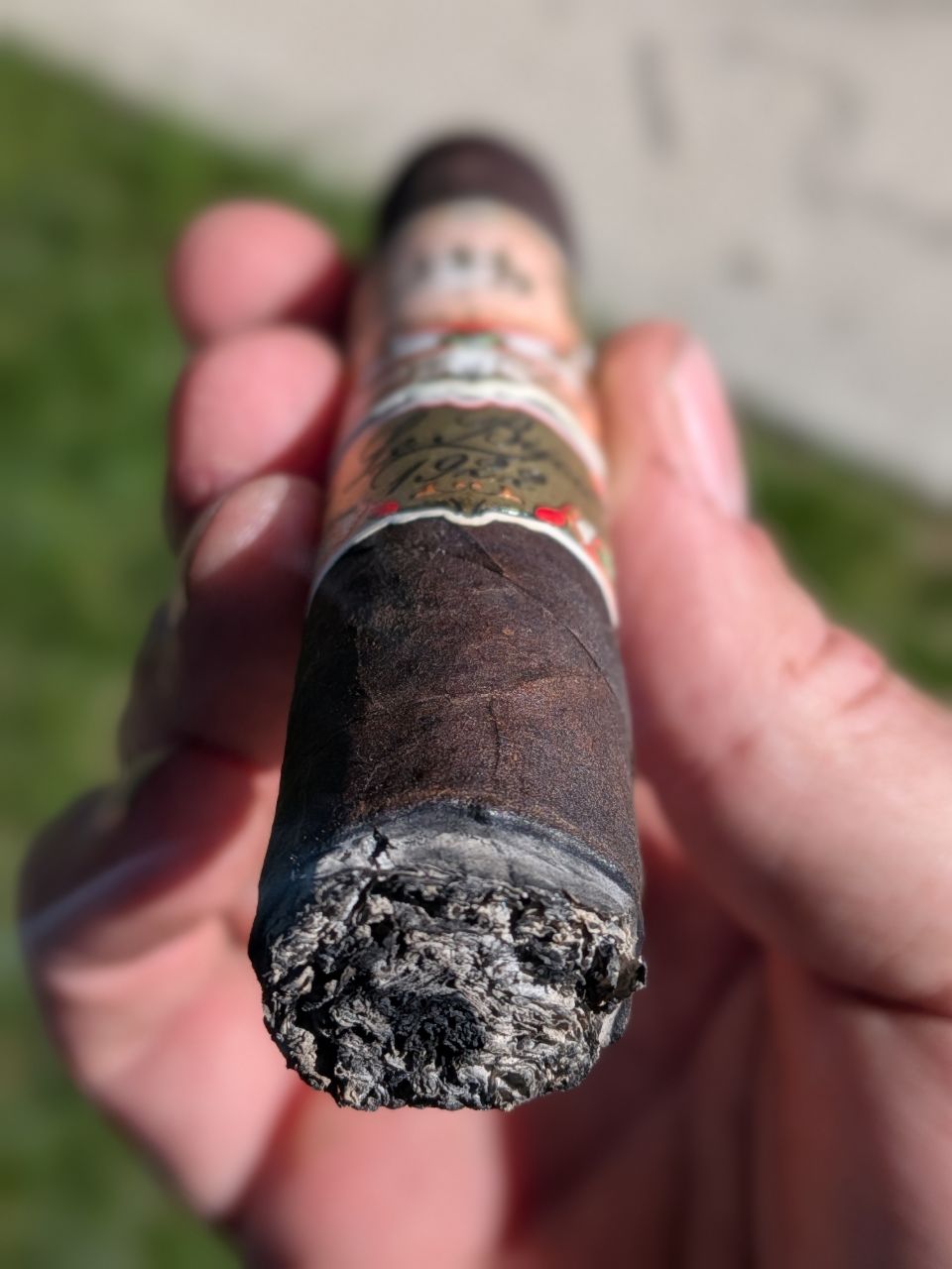 Cigar photo