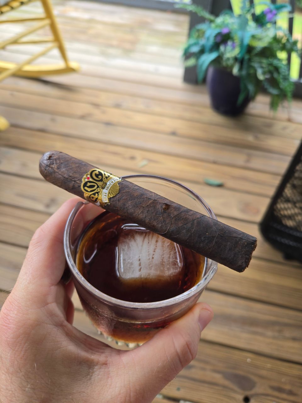 Cigar photo
