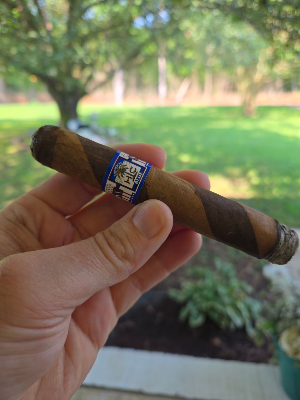 Cigar photo