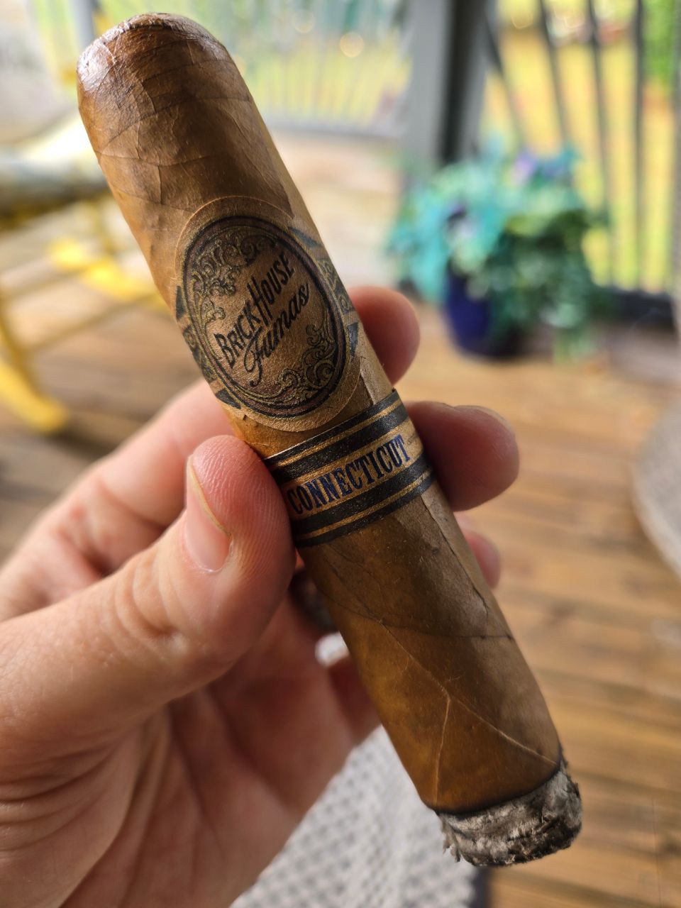 Cigar photo