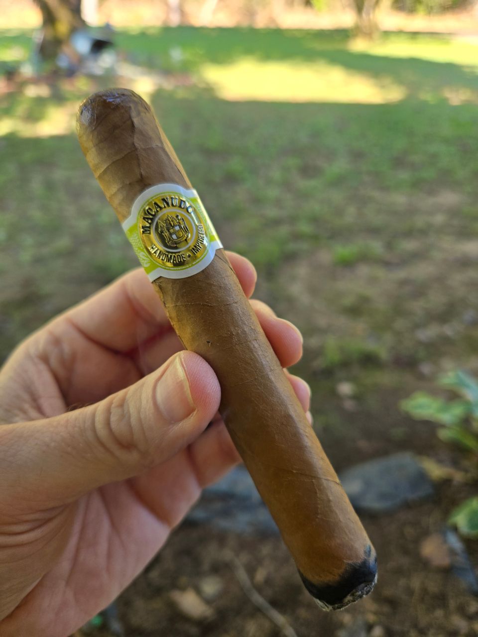 Cigar photo