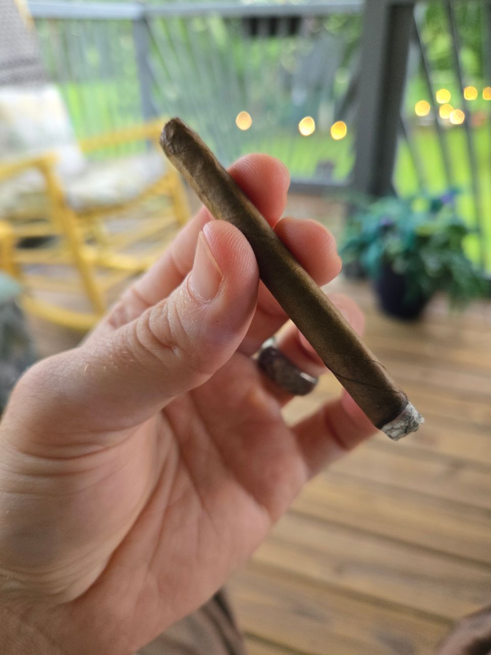 Cigar photo