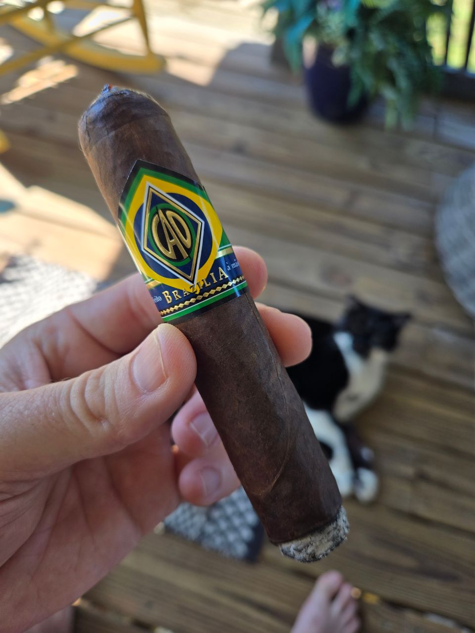 Cigar photo