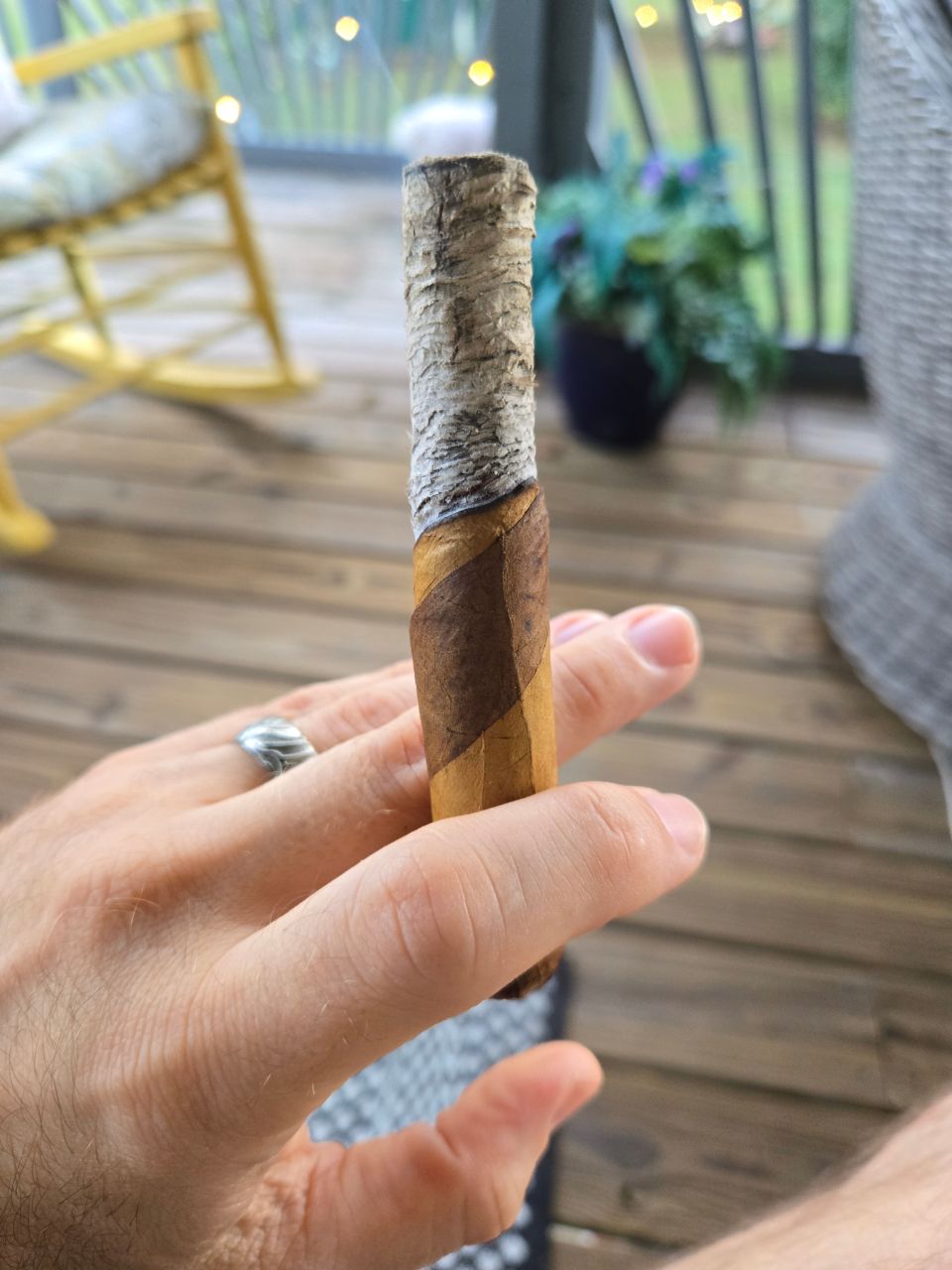 Cigar photo