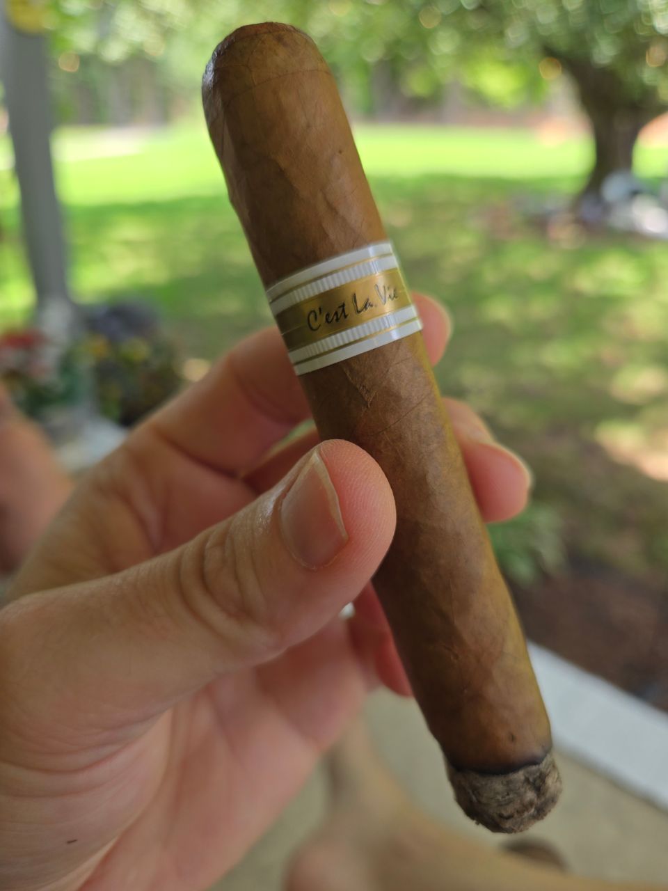 Cigar photo