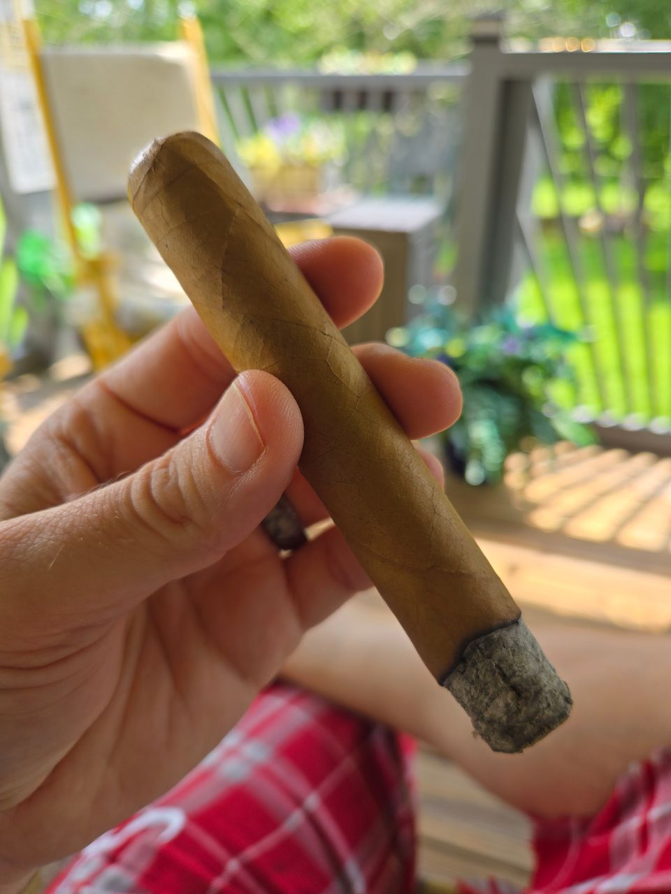 Cigar photo