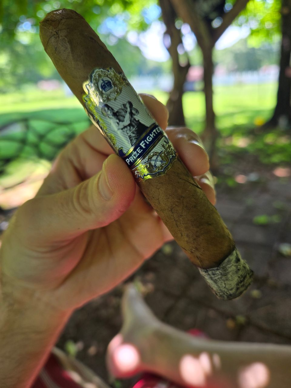 Cigar photo