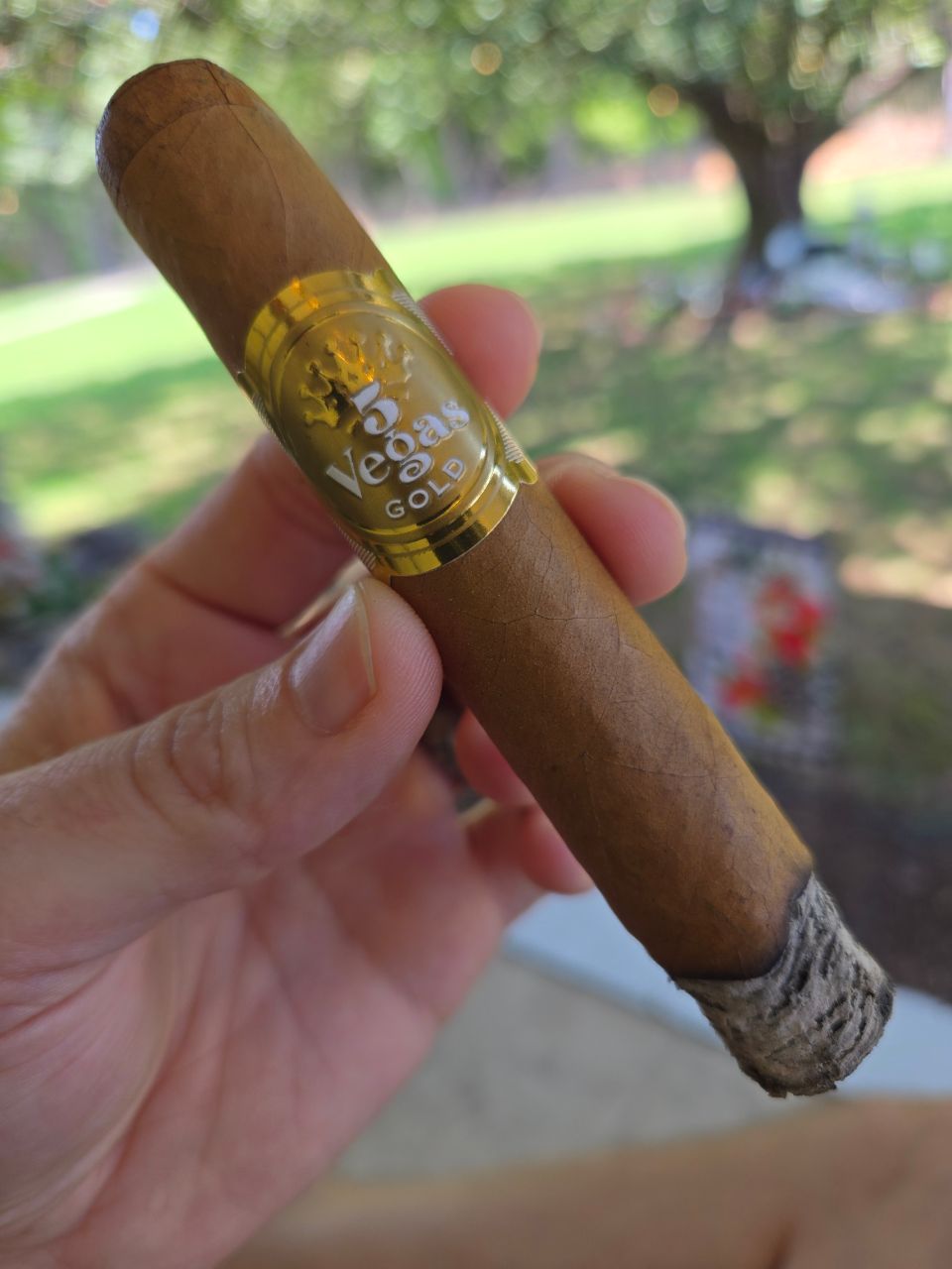 Cigar photo
