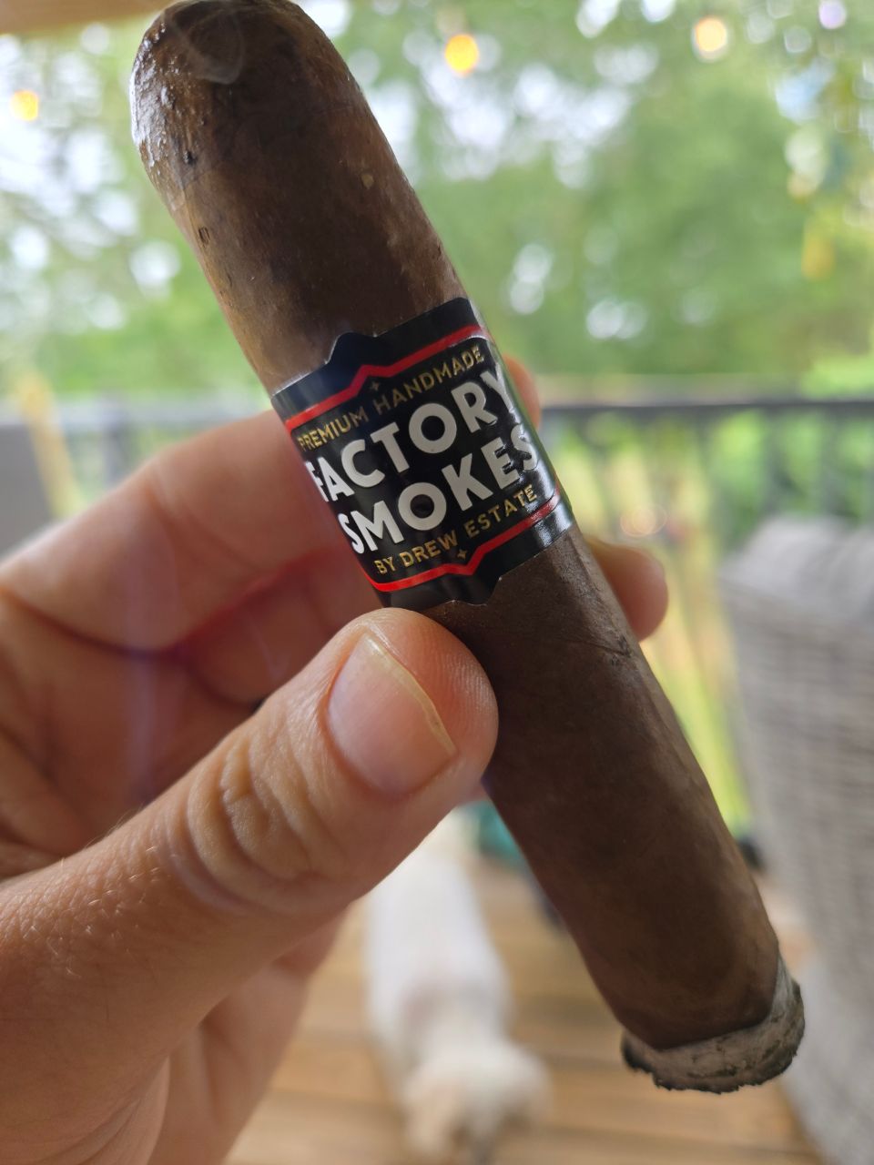 Cigar photo