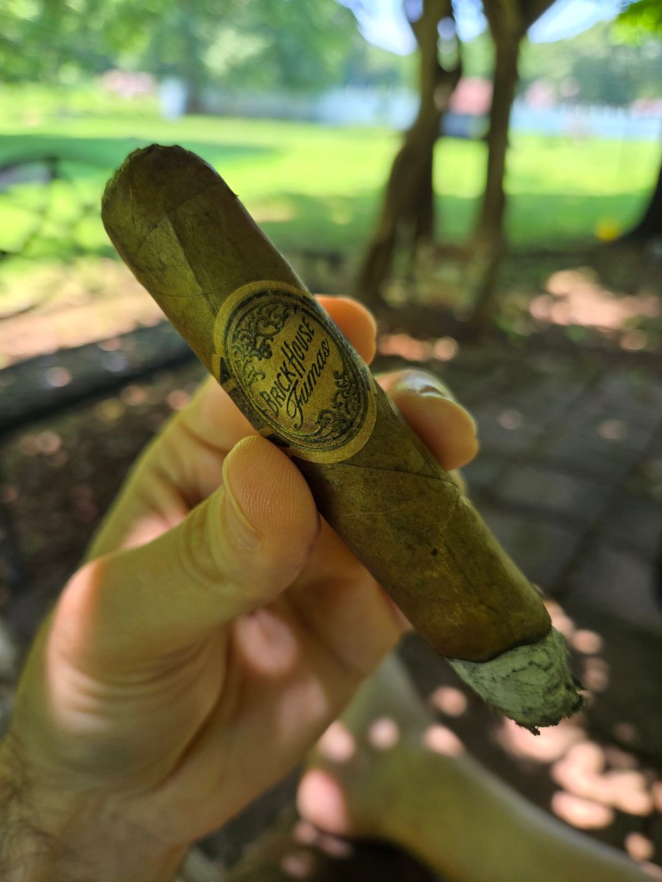 Cigar photo