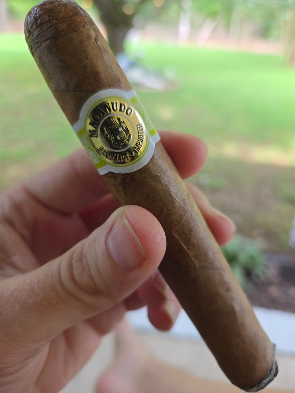 Cigar photo