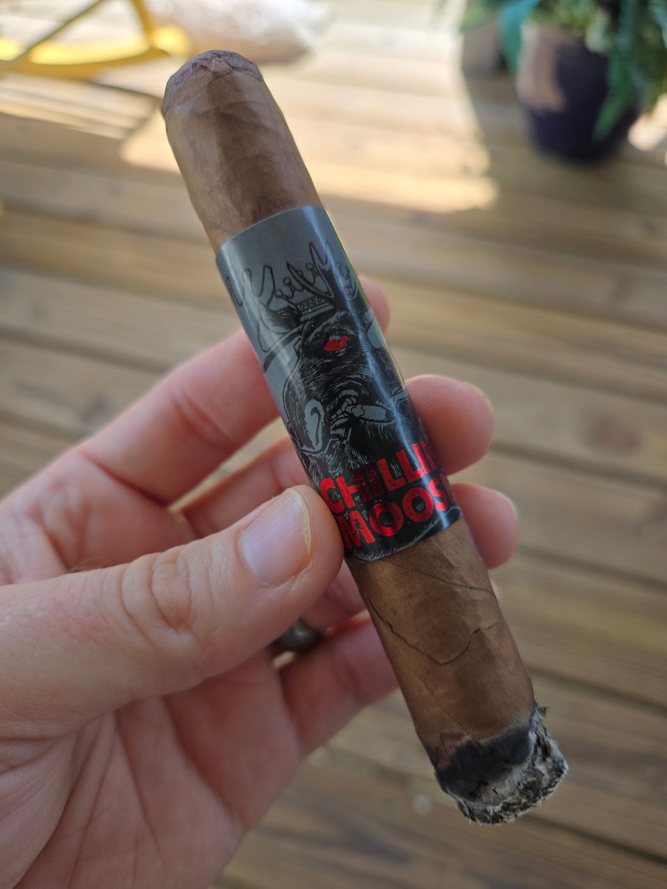 Cigar photo
