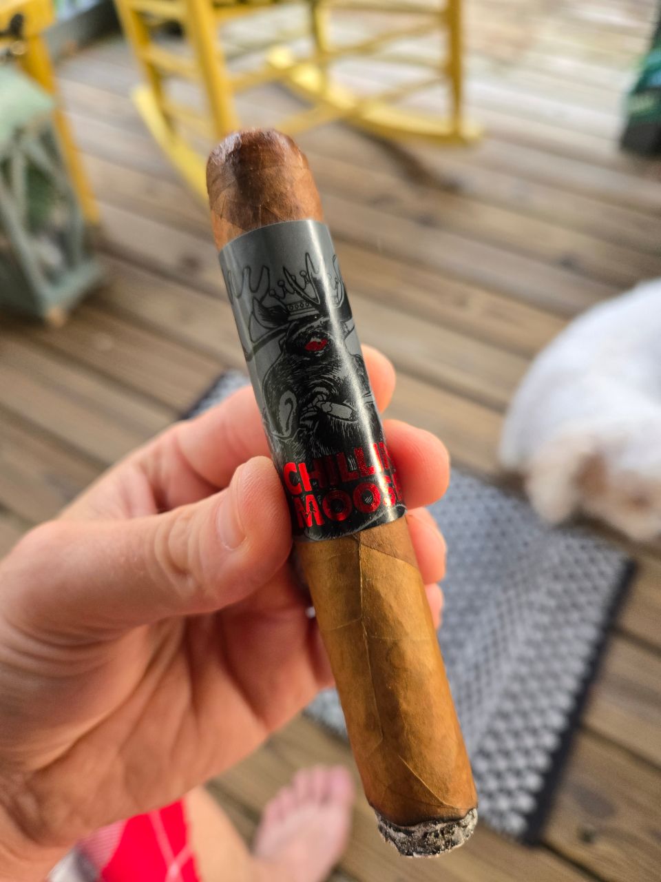Cigar photo