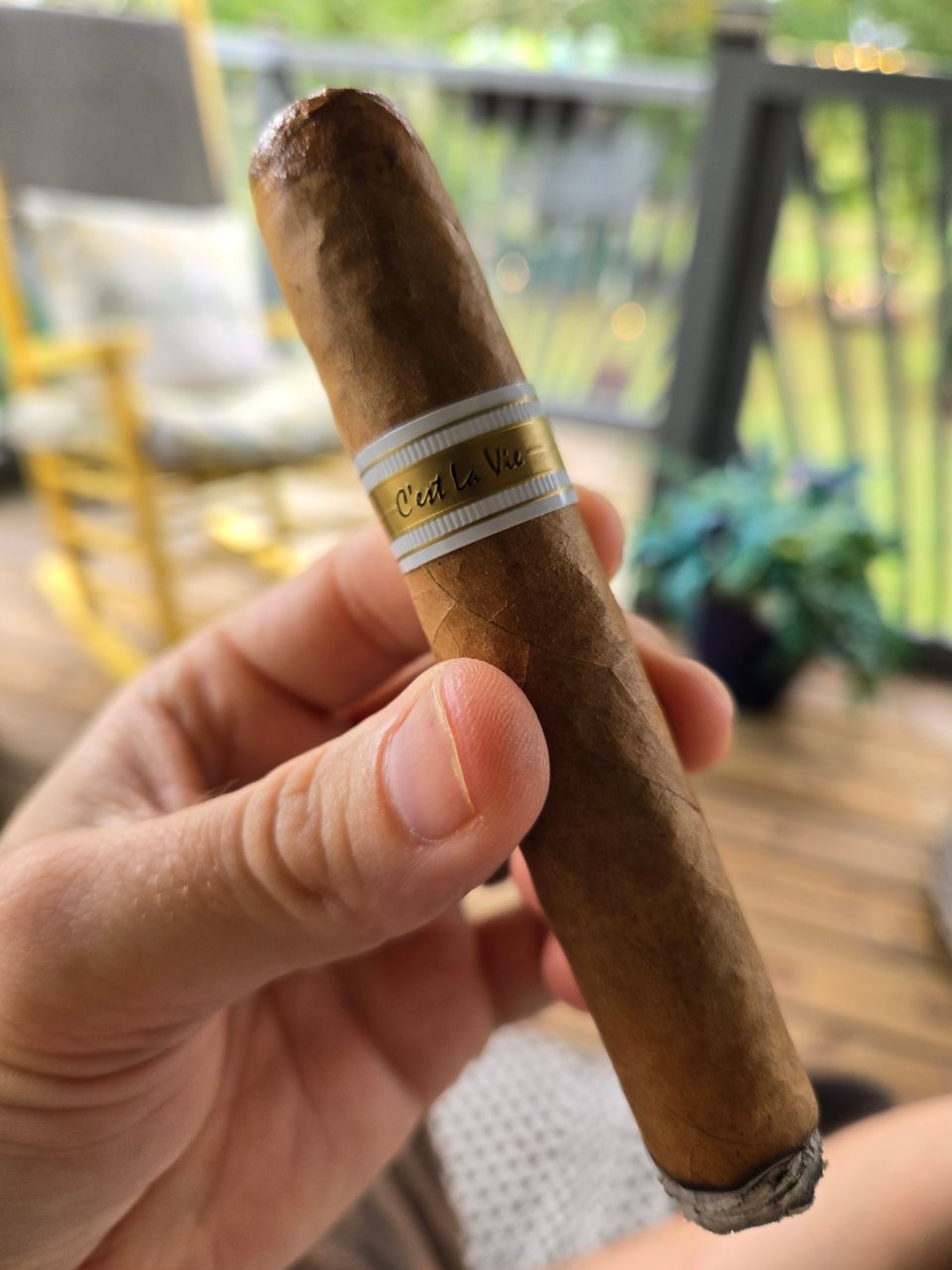 Cigar photo