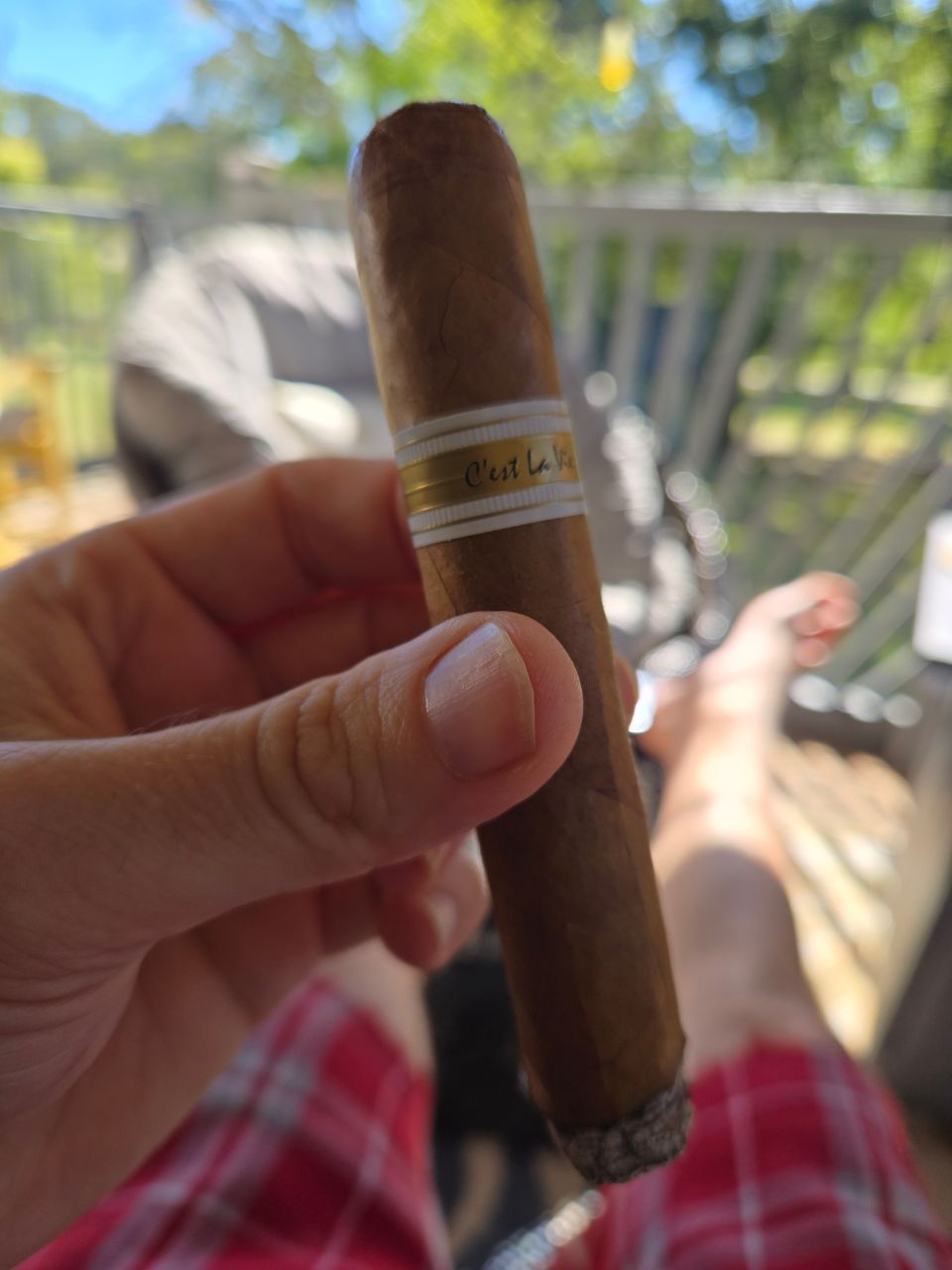 Cigar photo
