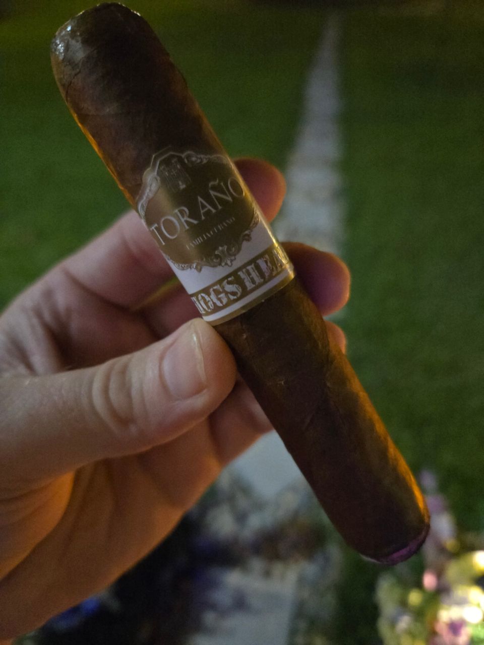 Cigar photo