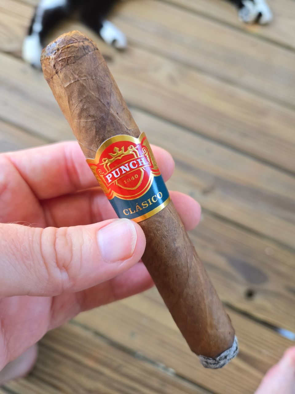 Cigar photo