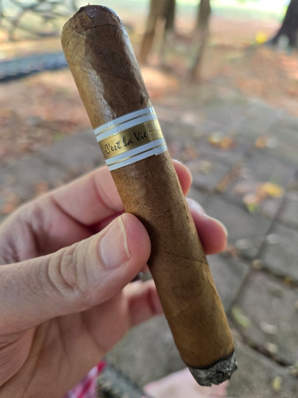 Cigar photo
