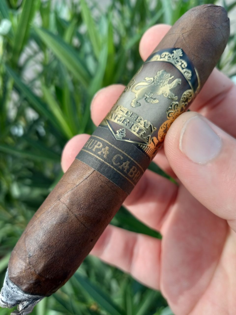 Cigar photo