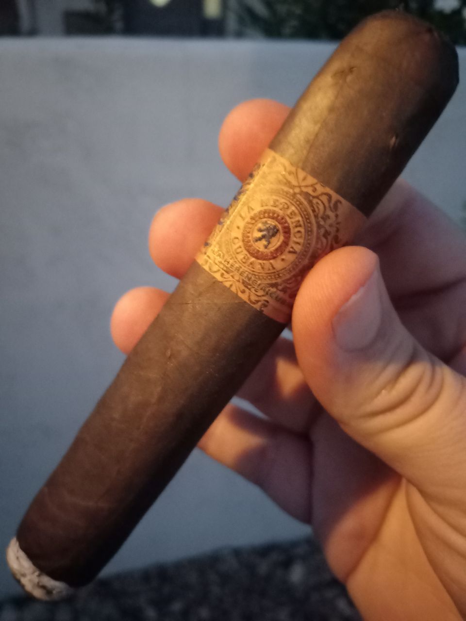 Cigar photo