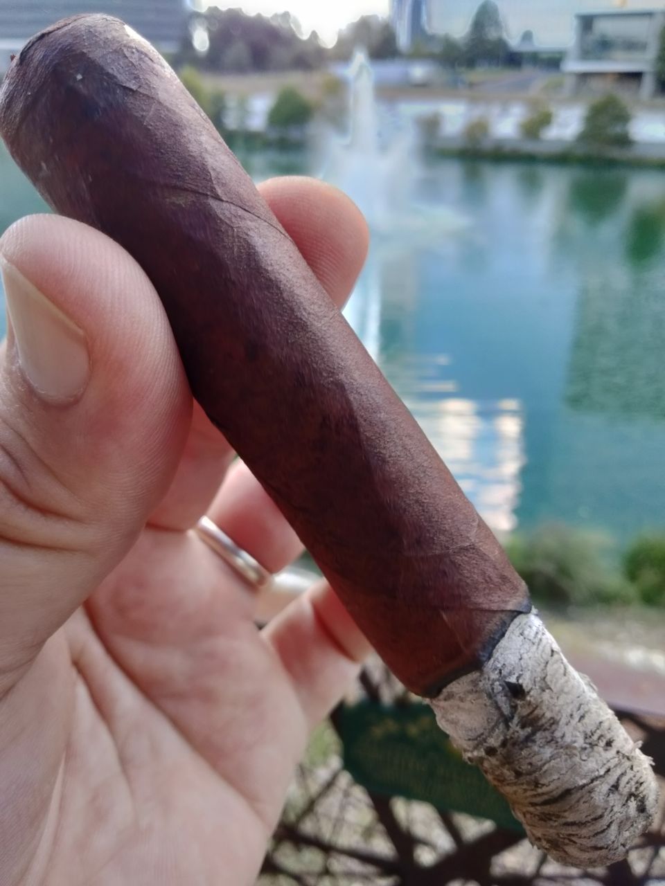 Cigar photo