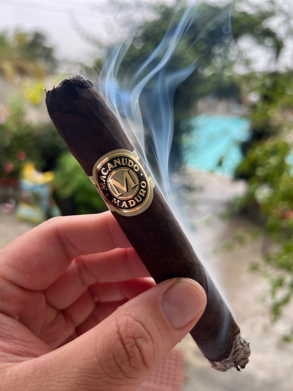 Cigar photo