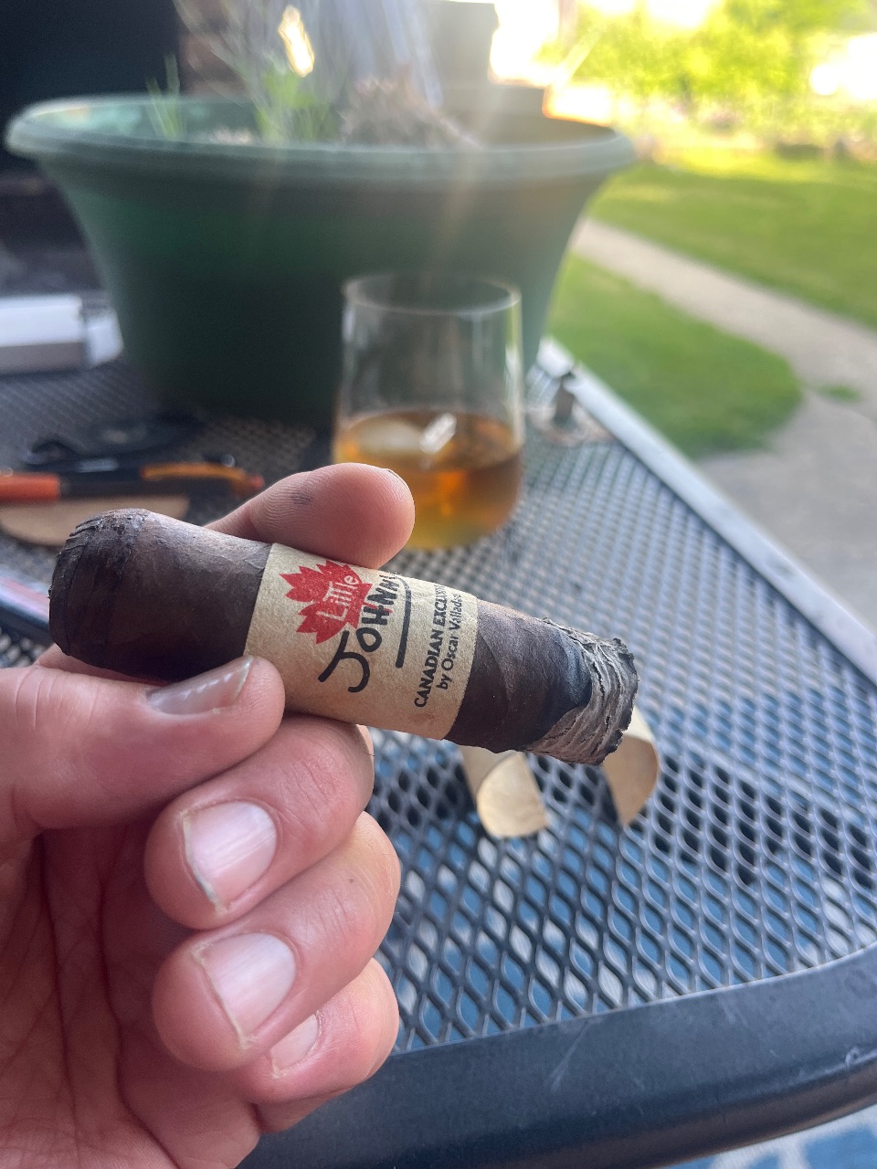 Cigar photo