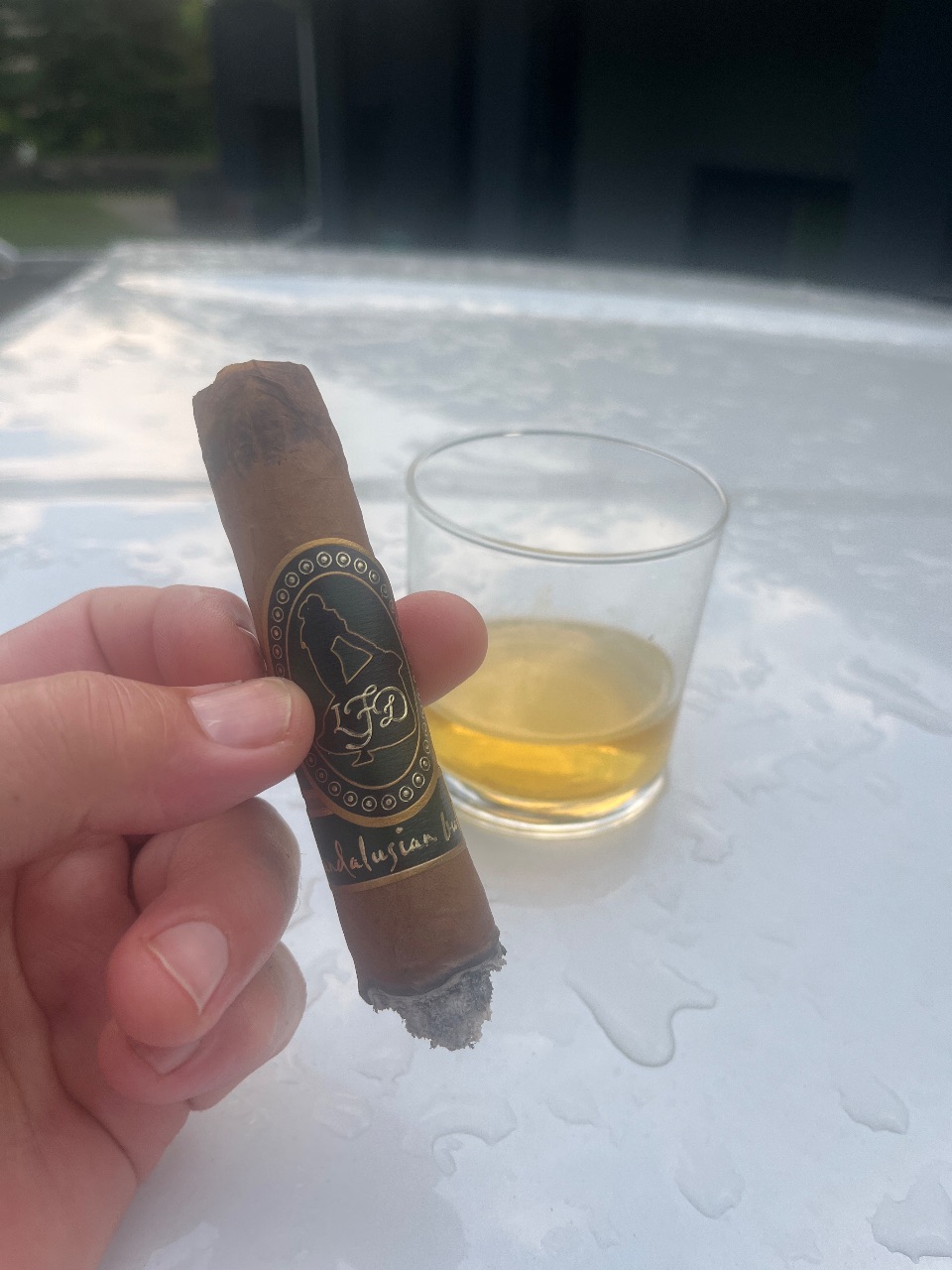 Photo of La Flor Dominicana Andalusian Bull Figurado