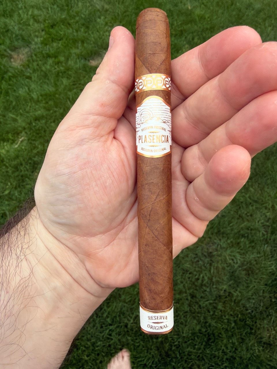 Photo of Plasencia Reserva Original Corona