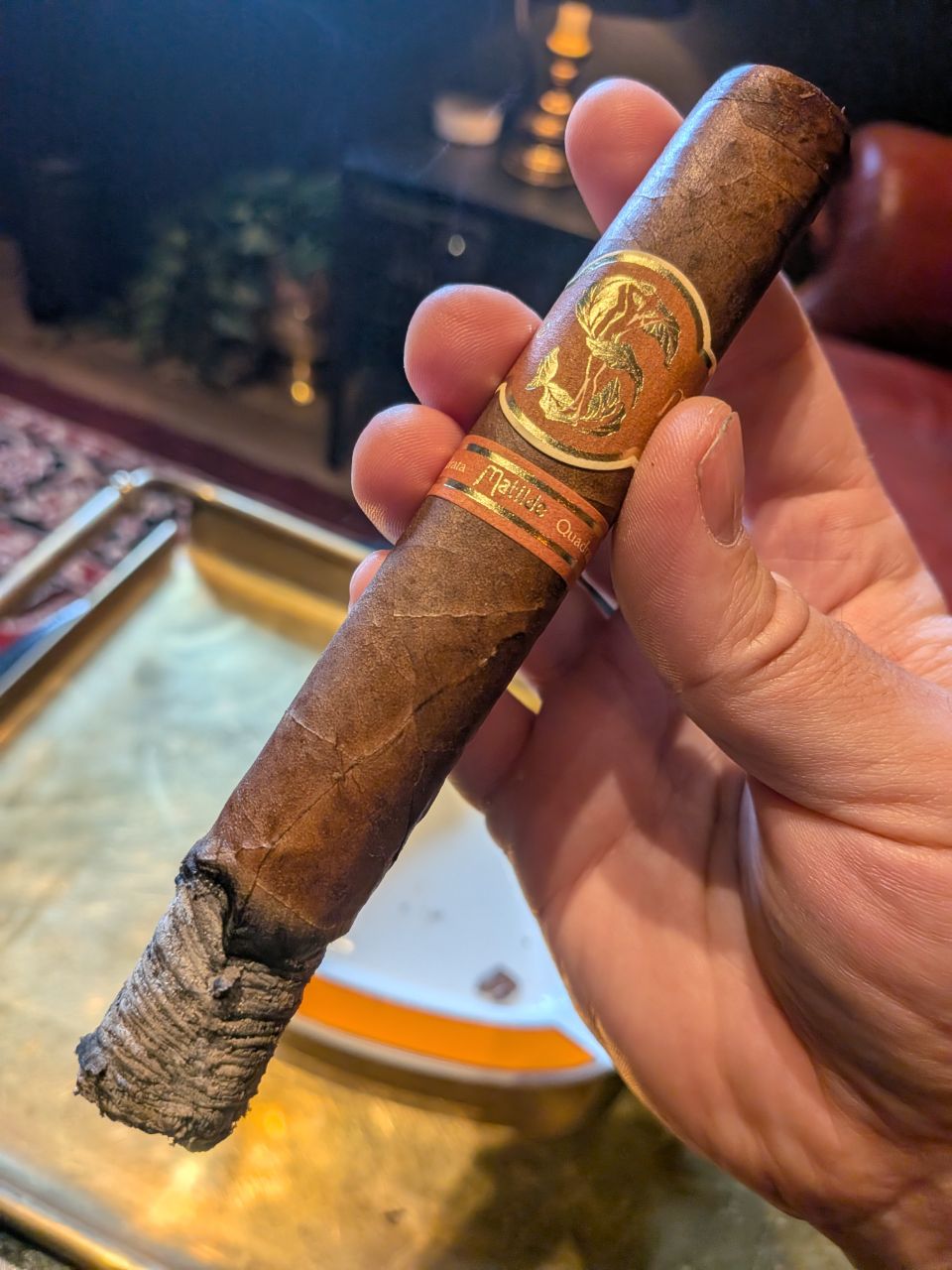 Photo of Matilde Quadrata Toro Bravo
