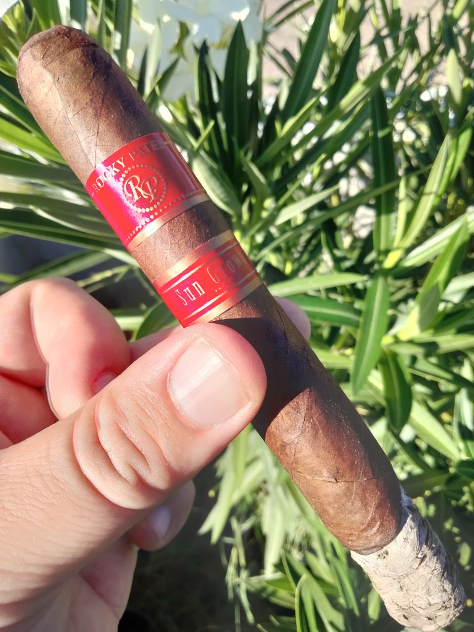 Photo of Rocky Patel Sun Grown Toro
