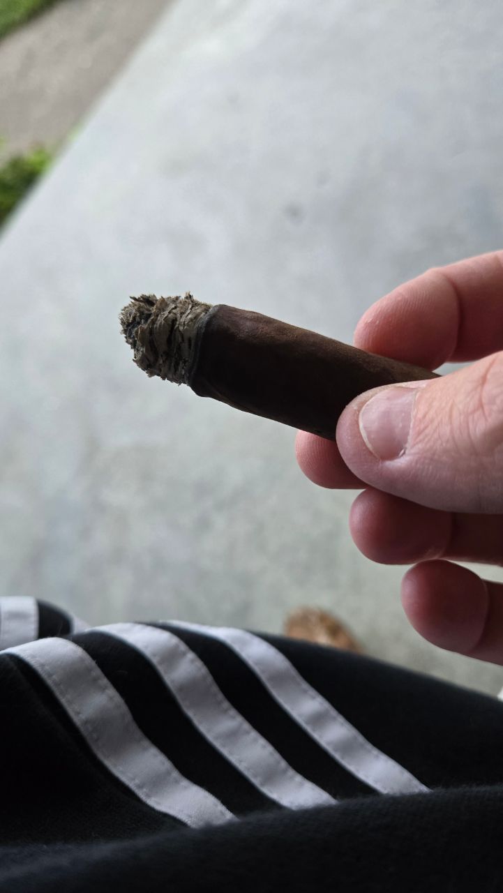 Photo of Punch Maduro